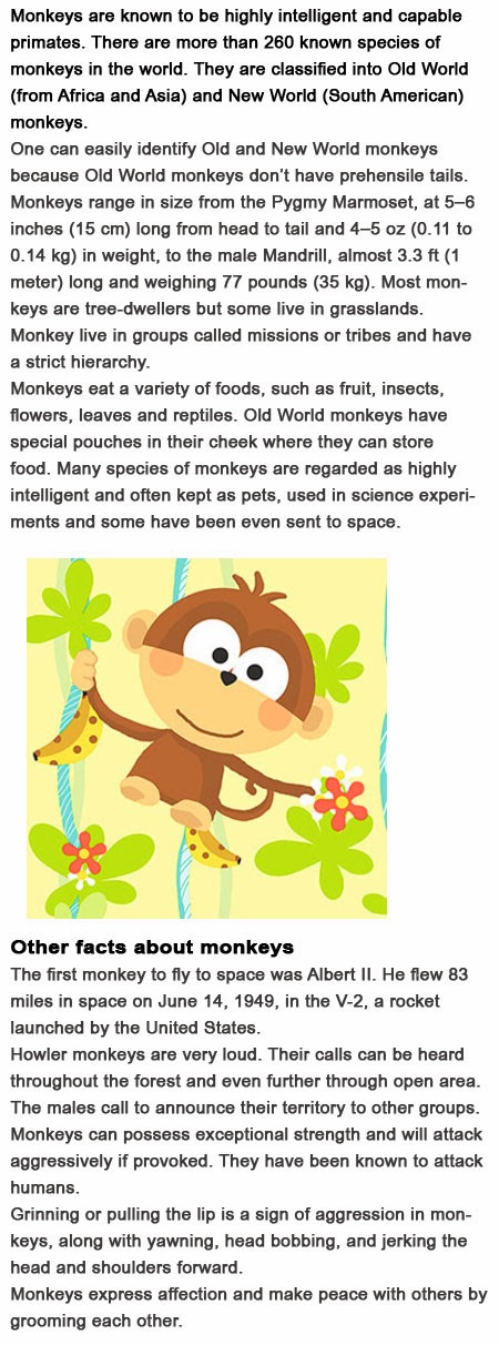 Monkey Facts for kids