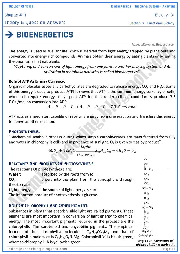 bioenergetics-descriptive-question-answers-biology-11th