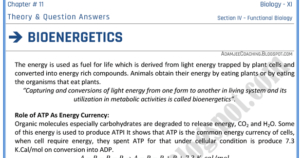 Advantages of bioenergetics image