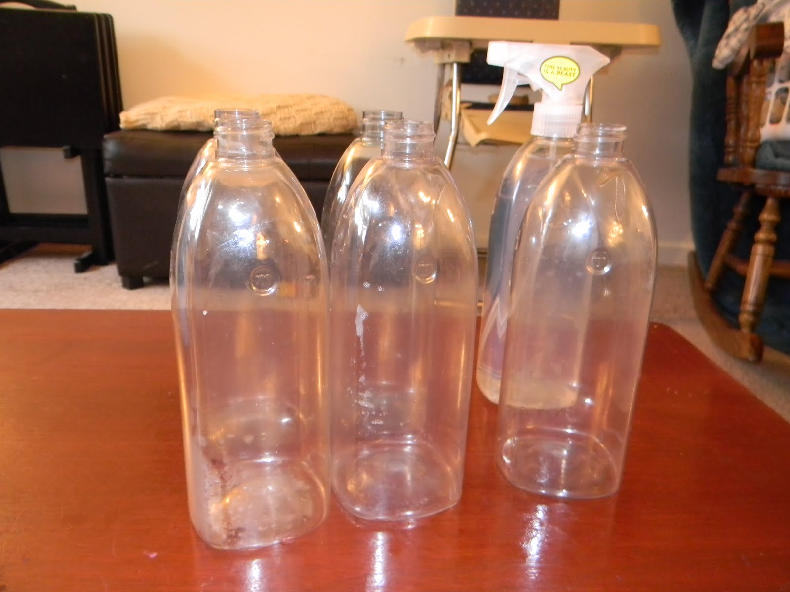 Rags and Riches Homemade Cleaners Bottles