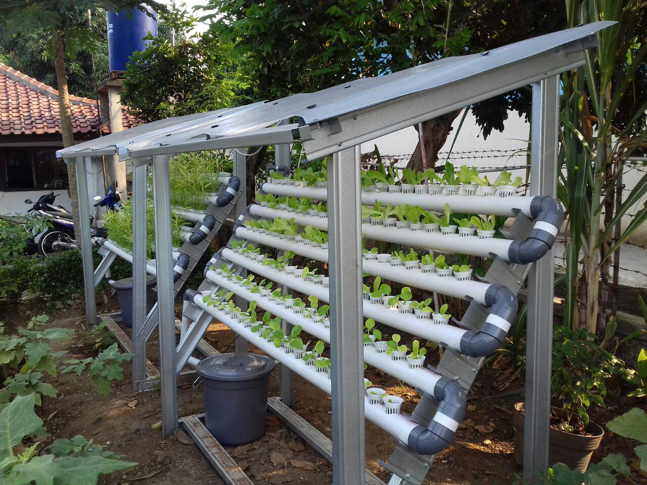 Ukuran Instalasi Hidroponik Baja Ringan cara budidaya