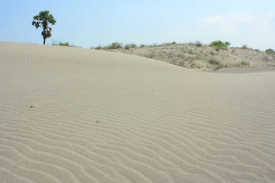 Contoh Bentang Alam Pantai dan Pesisir