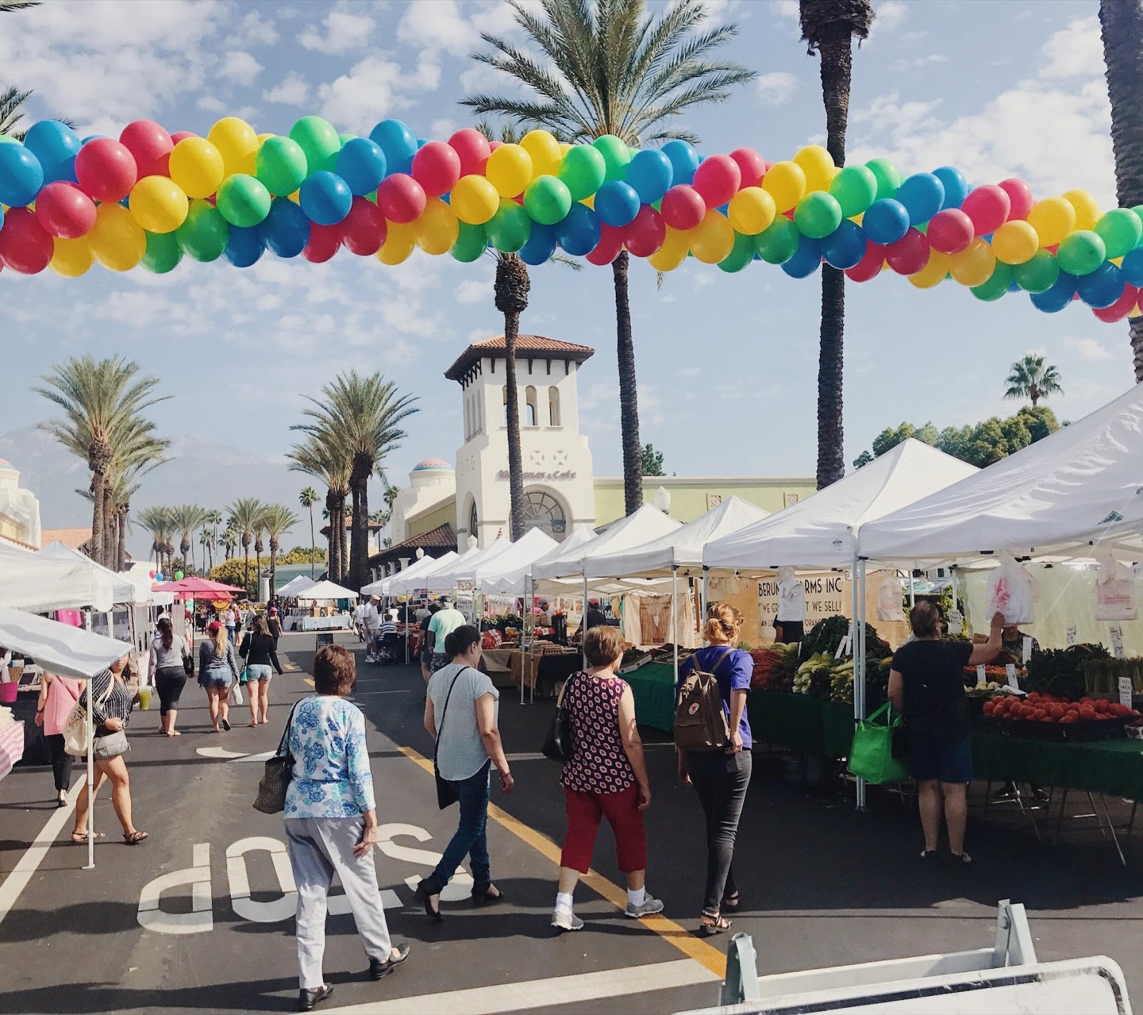 Potter the Otter at Heritage Farmers Market at the Terra Vista Town