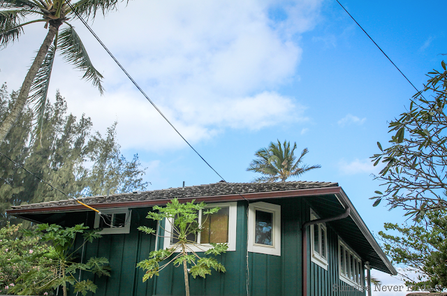 random,north shore,oahu,hawaii,beach house,beach shack,végétation tropicale,palmiers,bananiers,