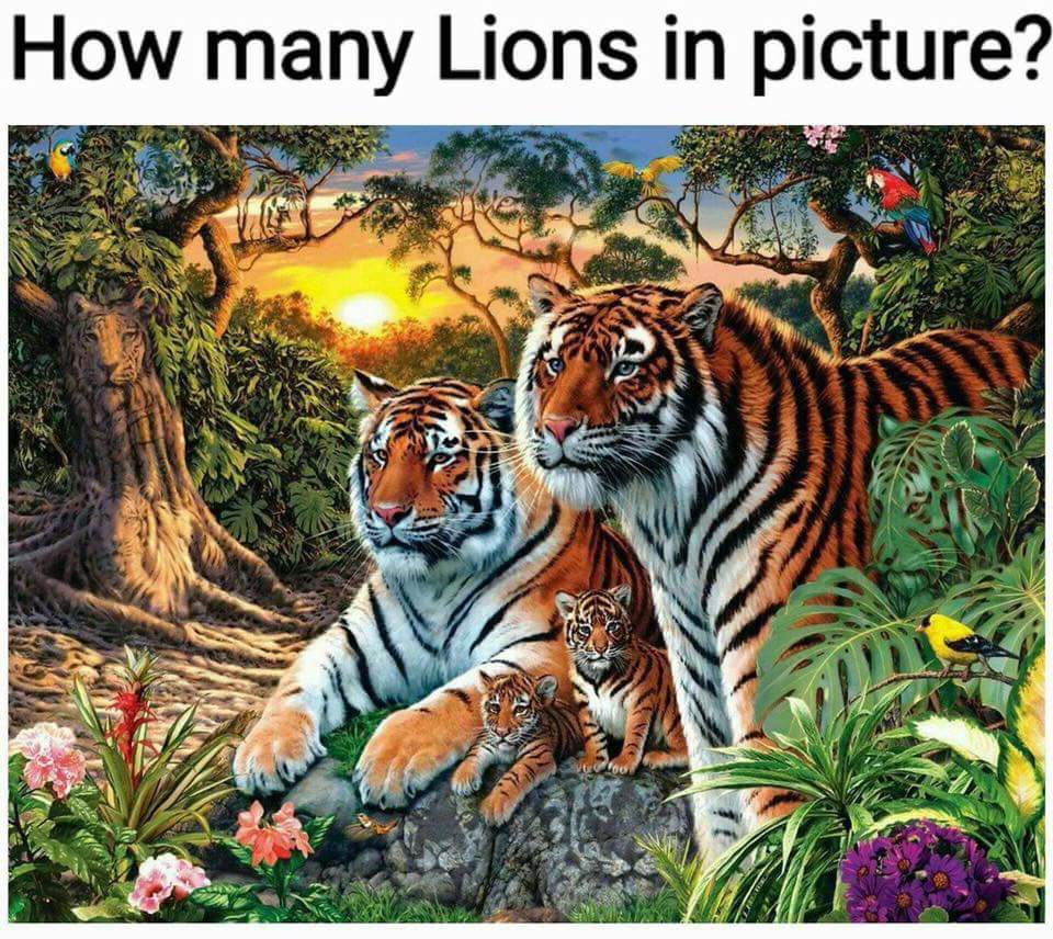 How many Lions do you see in this picture? to Linda Ikeji's Blog