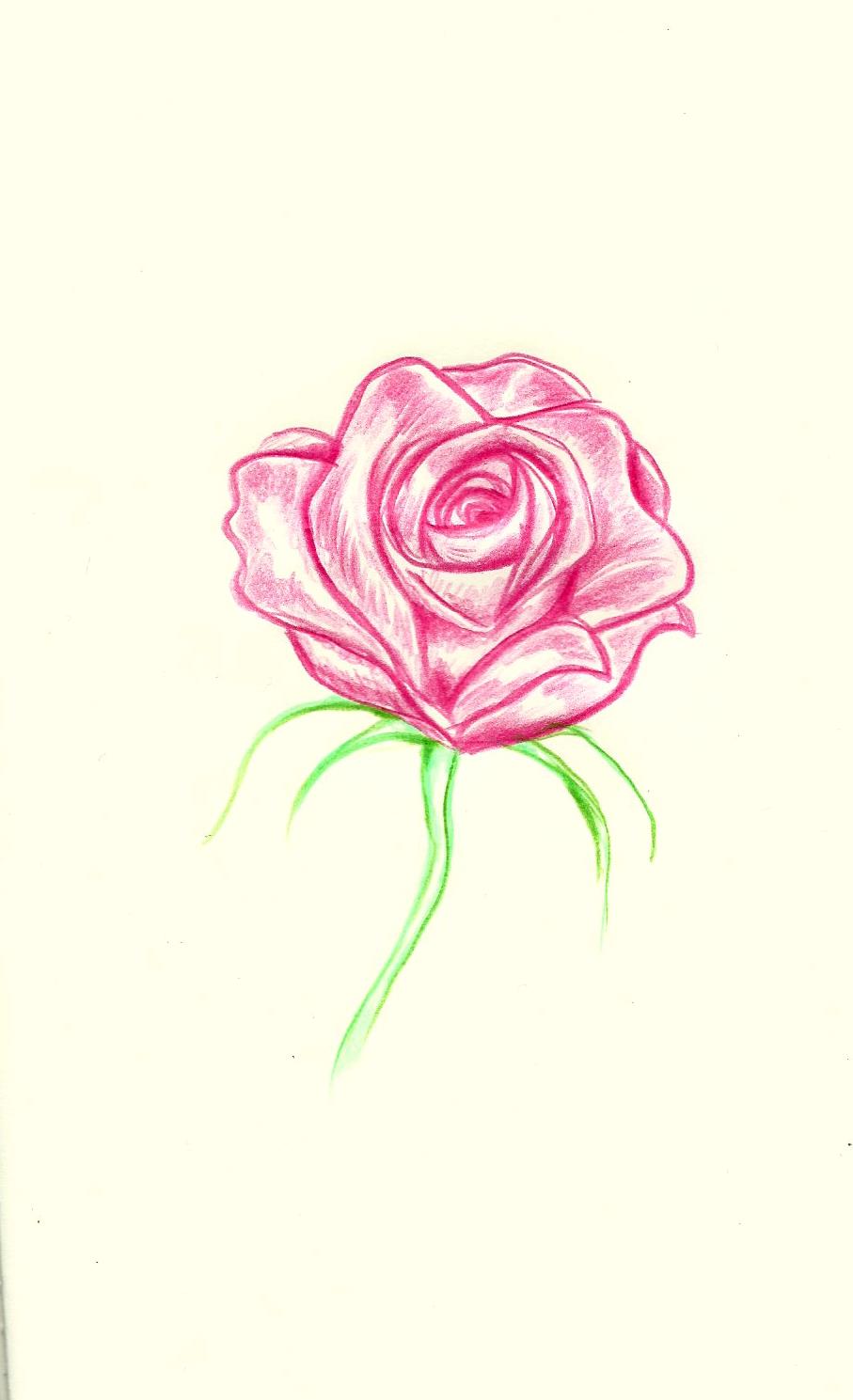 LETICIA´S ART BLOG Colour pencil portrait tips!