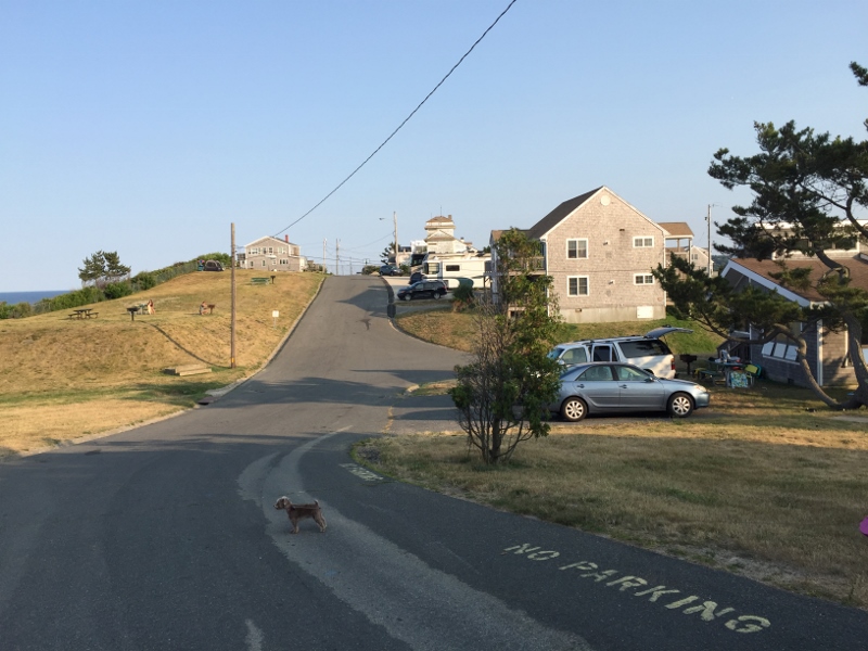 marshfield ma fourth of july