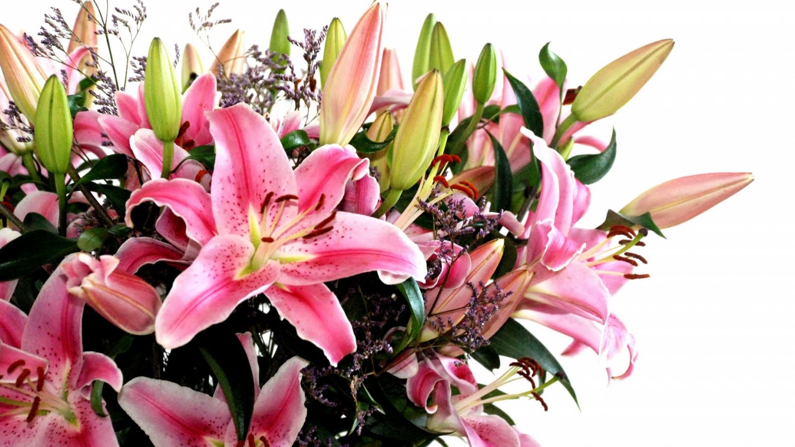 Flowers Bouquets Flowers Bouquets