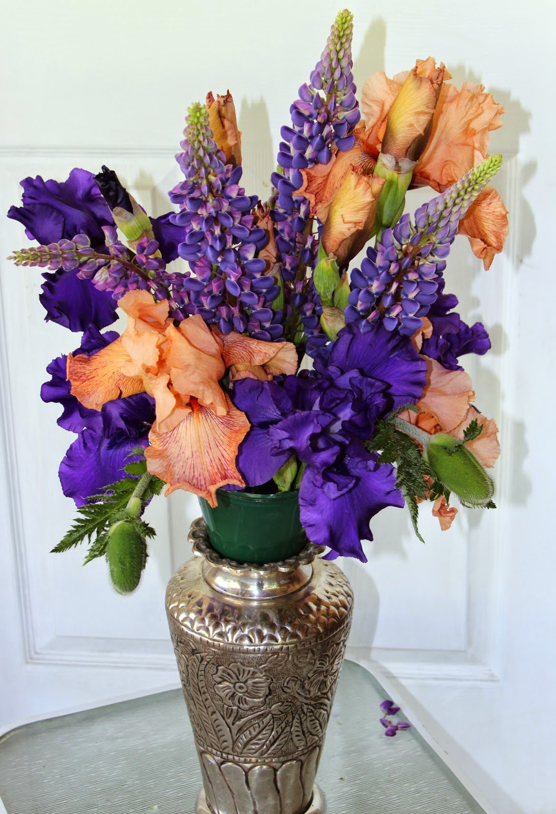 TALL BEARDED IRISESMEMORIAL DAY ARRANGEMENTS 2014 Sowing the Seeds