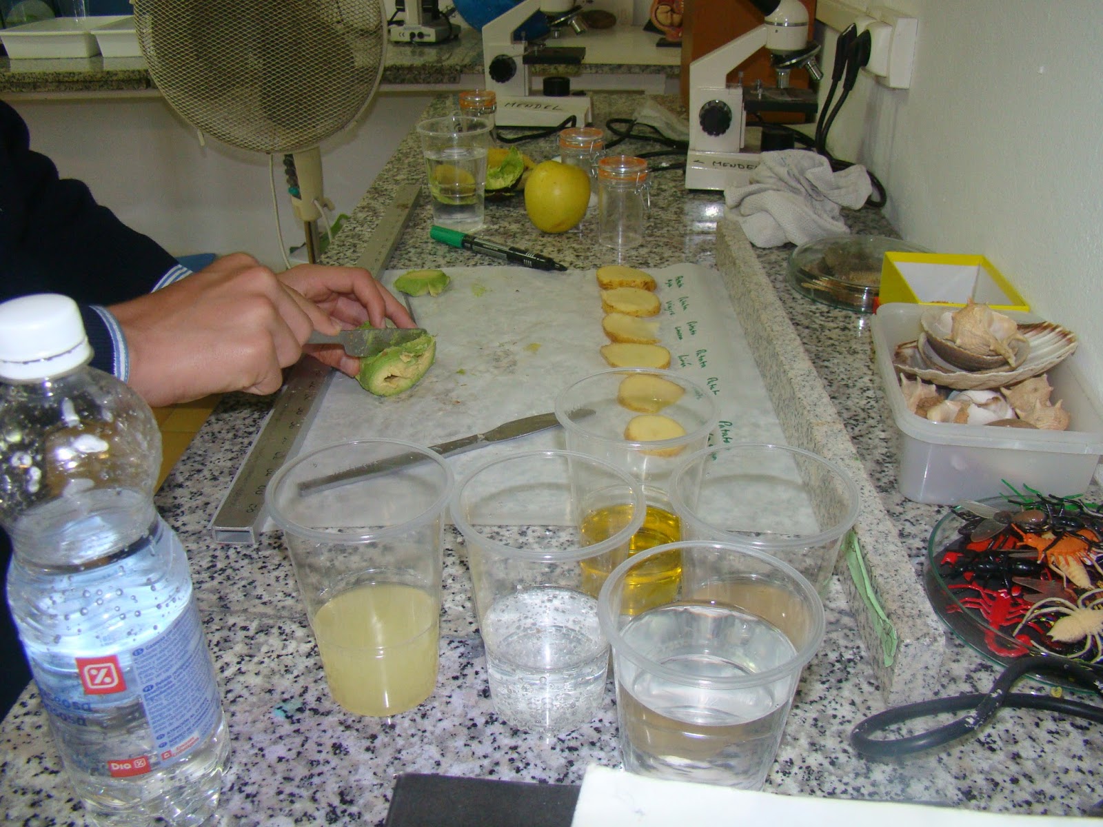 Science Magazine Fruit Oxidation Why do foods turn brown? Science