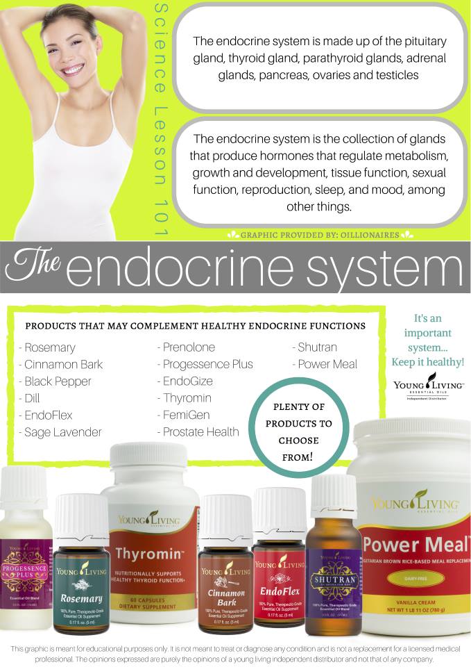 Exploring Oils: Supporting your Endocrine System