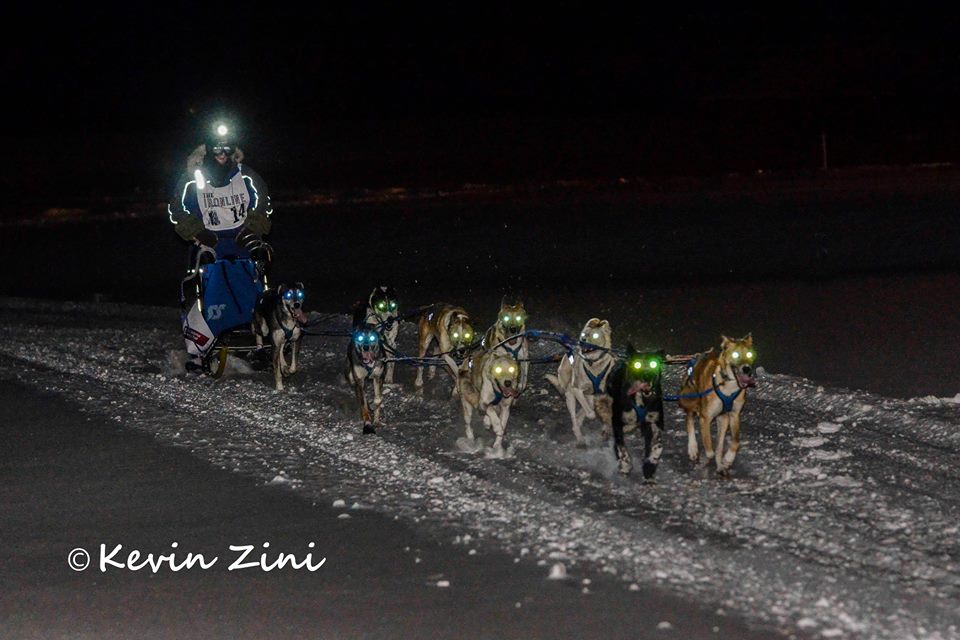 Live the Adventure 92 Mile Sled Dog Race in Iron River, MI