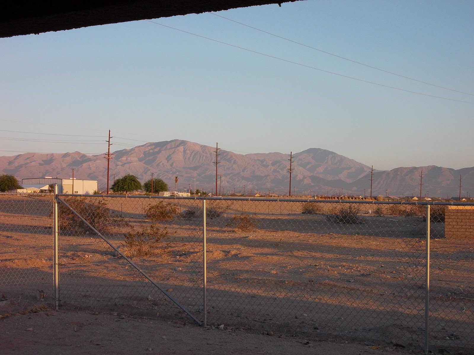 Salton city ca diary