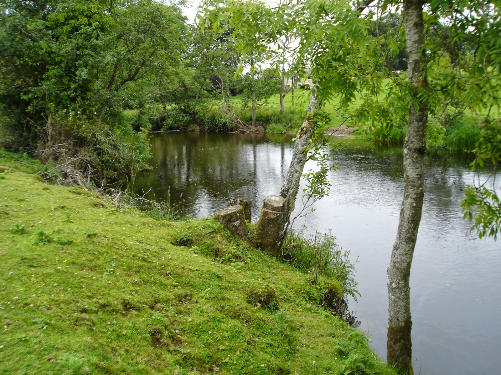LDowling Ecology Appropriate Assessment Natura Impact Statement