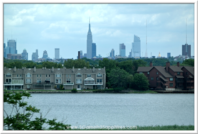 View of the Hudson River in New York  |  3 Garnets & 2 Sapphires