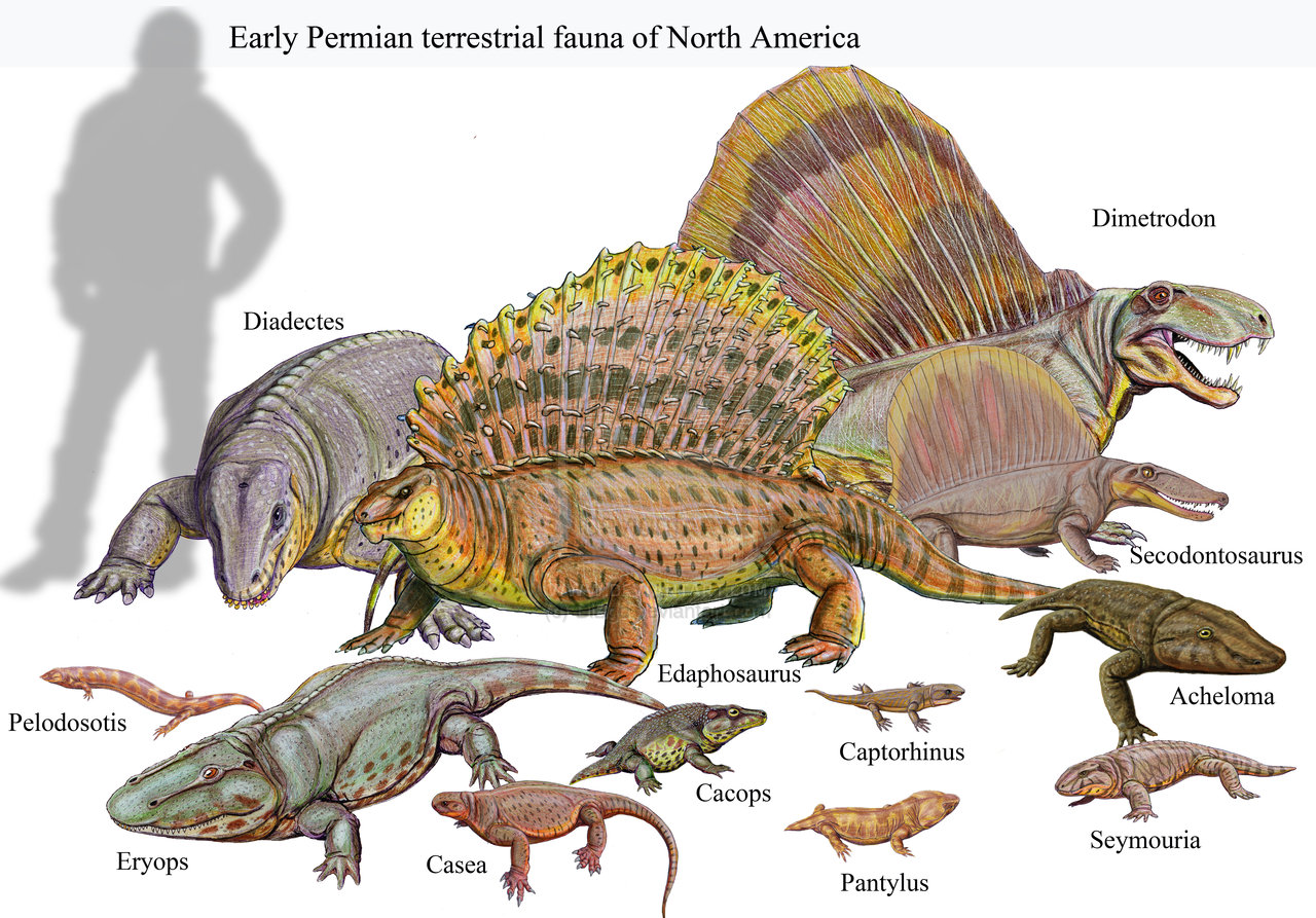 Ramifications June 2015