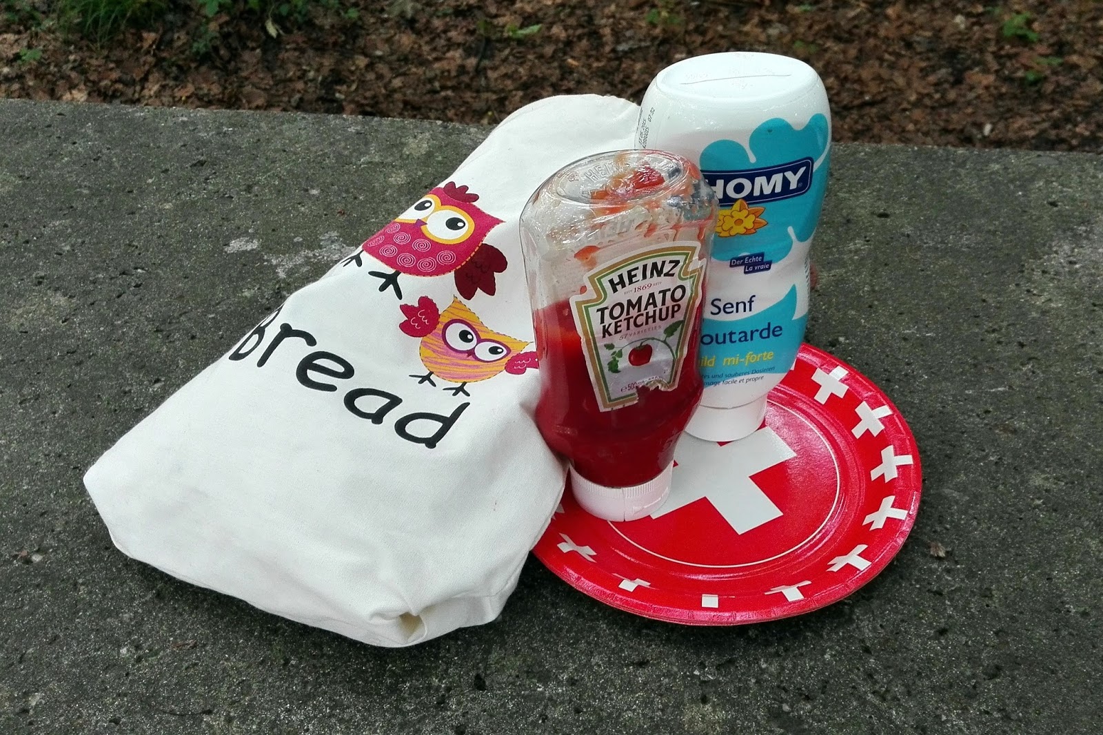 12 (not only Swiss) picnic essentials Our Swiss experience