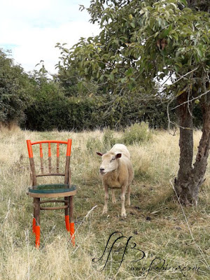 une-chaise-de-bistrot-thonet-1900-transformee une-chaise-de-bistrot-thonet-1900-transformee