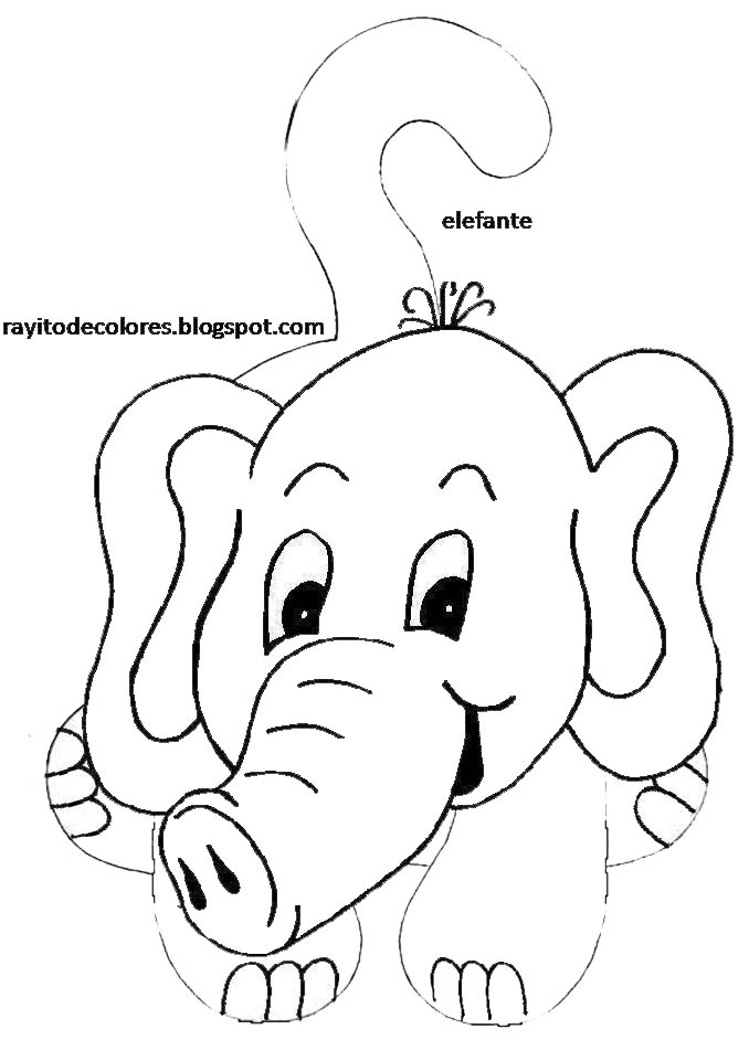 elefante