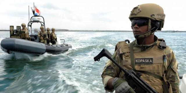 Wow, Ini pengakuan penyelam Denjaka TNI AL yang disebut 'gila' oleh US Navy