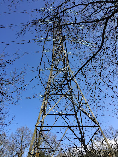 Electricity pylon, London Loop Recreational Walk