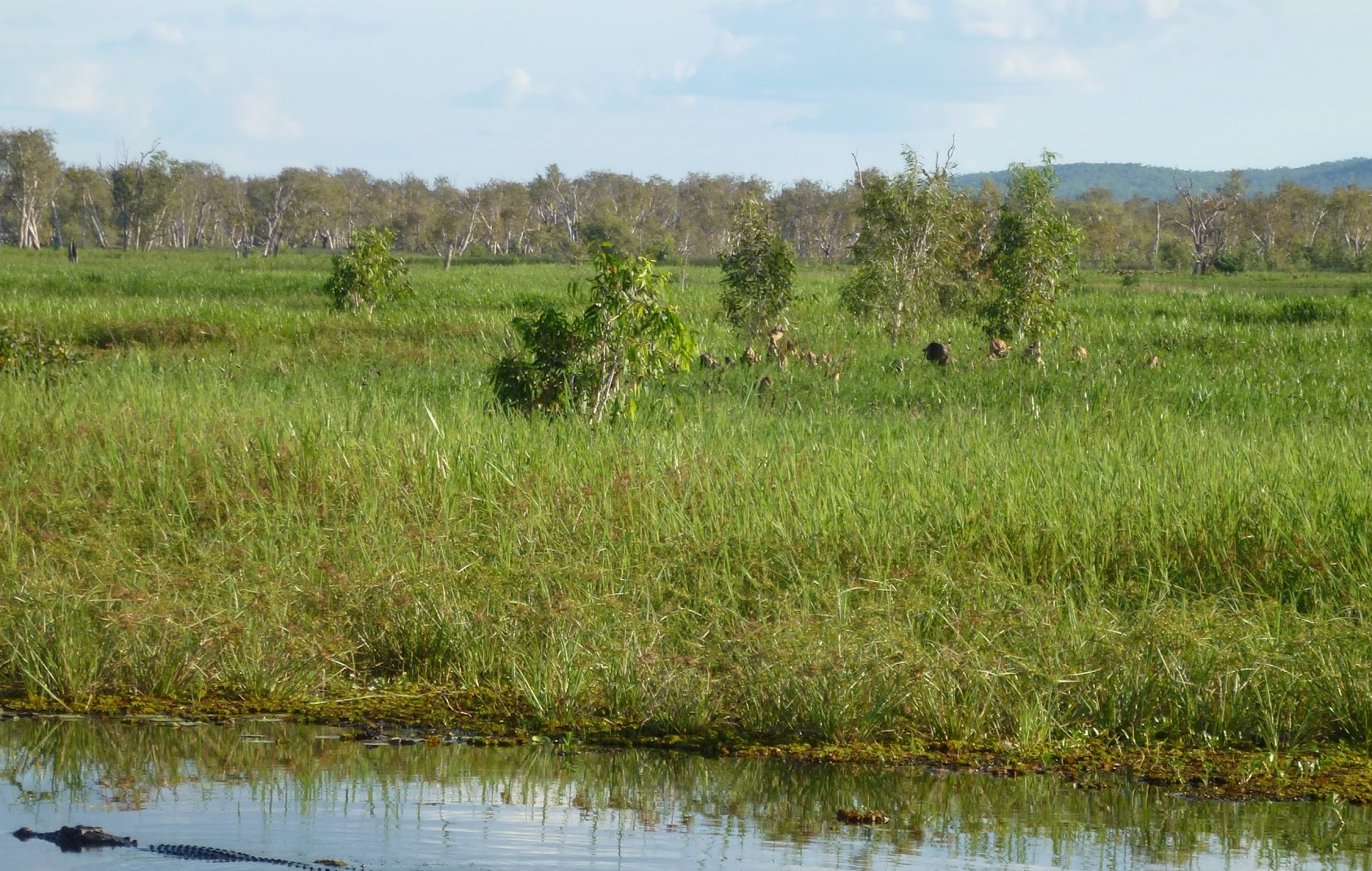 Australia and Climate Change