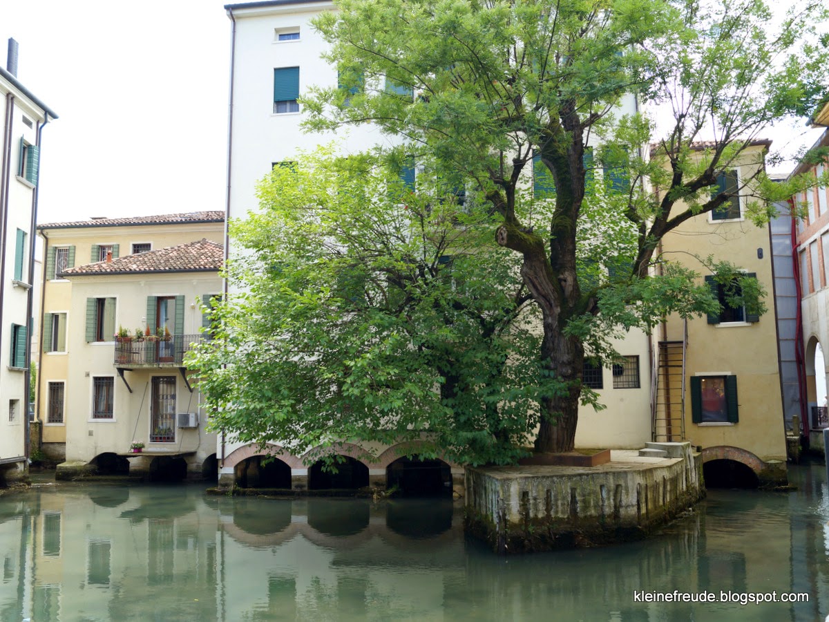 kleine freude Von Bäumen begleitet / 8