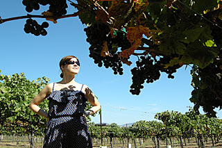 winecountry_tourism_outlook
