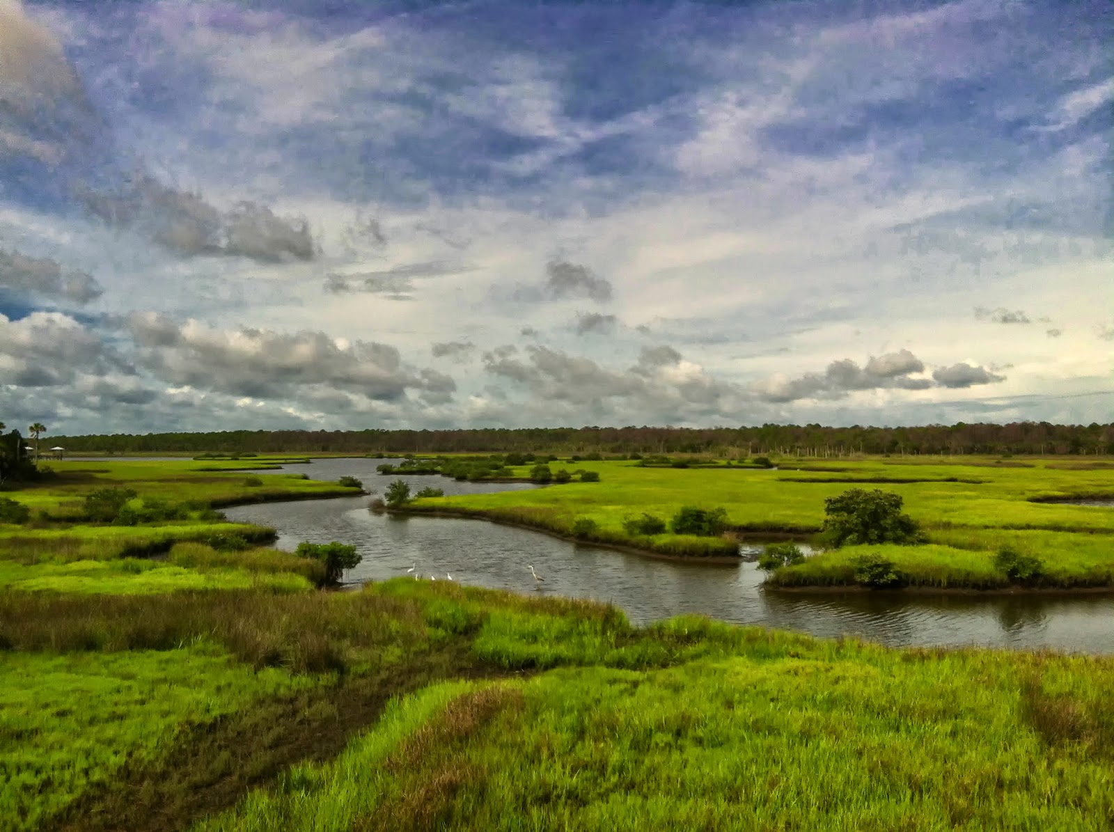 Creative Florida Living Spruce Creek Park An Oasis at Your Fingertips