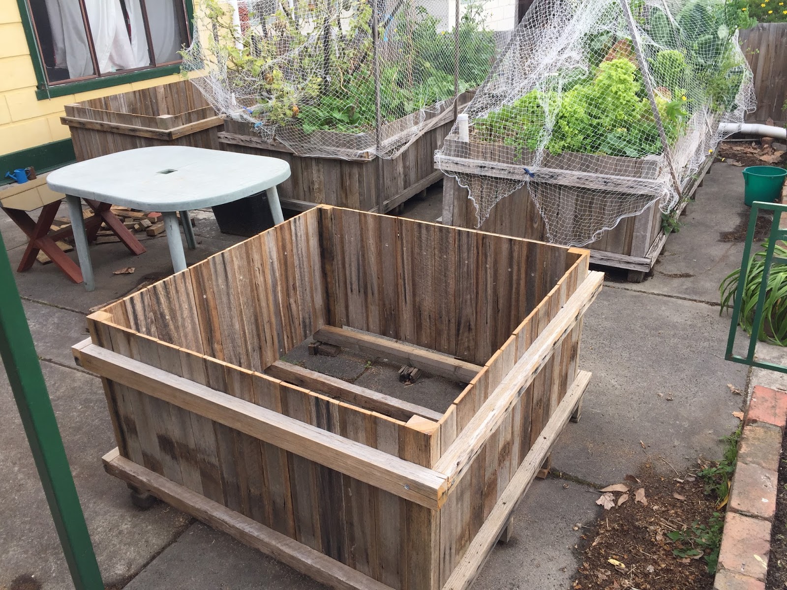 Nedly on his Treadly Wicking Bed Construction