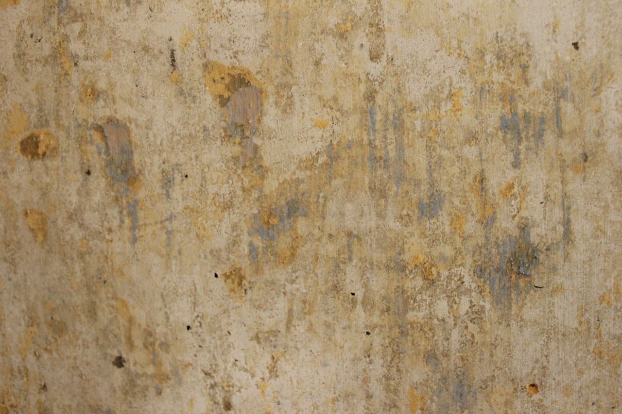 Afternibbin bare plaster walls