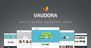 Vaudora comes with loads of features