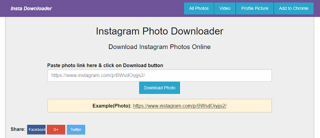 insta-downloader.net insta-downloader.net