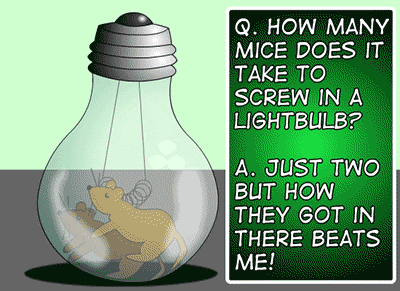 How may mice does it take to screw in a lightbulb? Only 2, but how did they get in there to begin with?