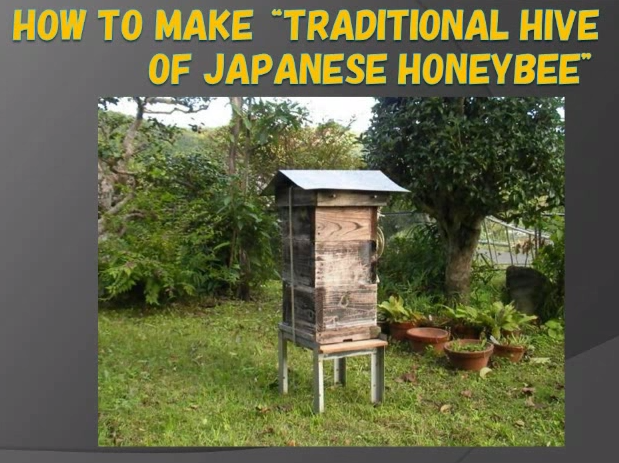 Cara Membuat Kotak Haif Lebah Madu Jepun