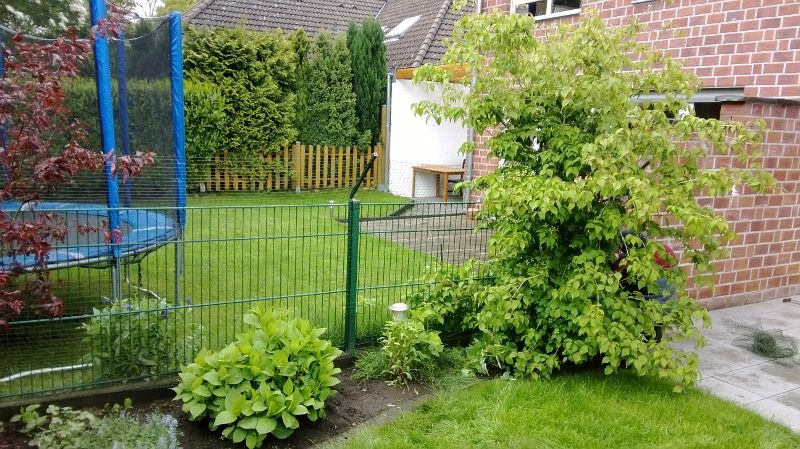 Katzennetz Nrw Die Adresse Fur Ein Katzennetz Katzennetz Garten