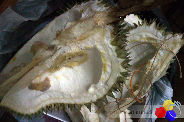 mknace unlimited™ | Kulit durian