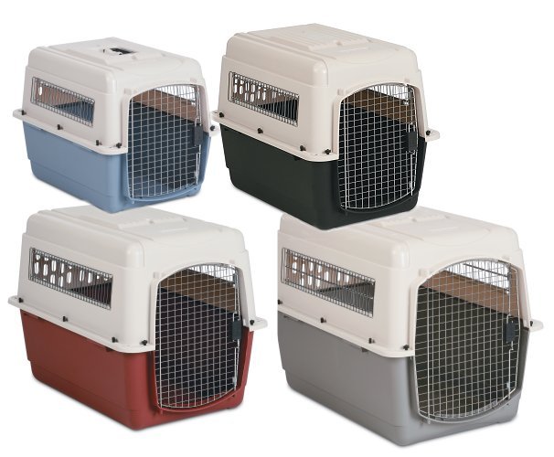 Willowynd Ranch Vizslas & Bird Dog Training Why Crate?