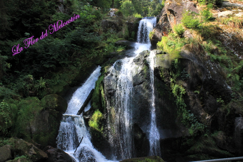 Cascadas de Triberg