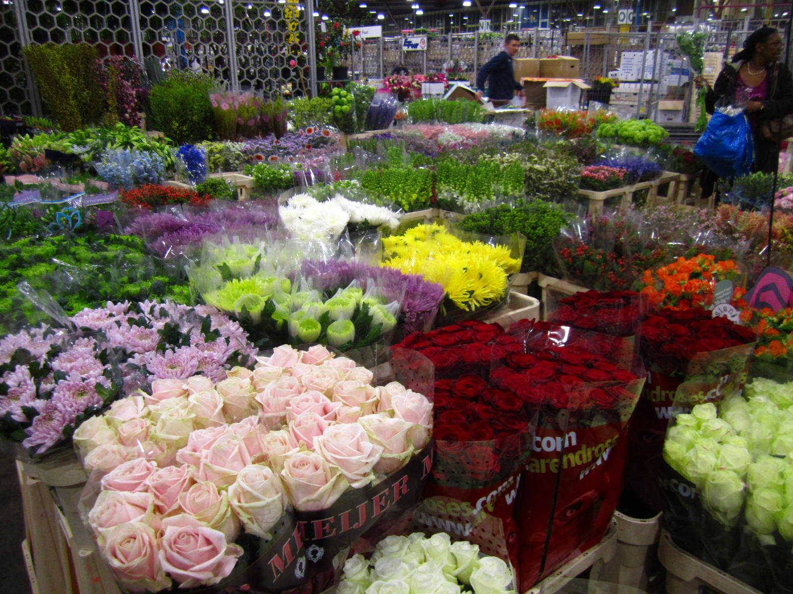 Fru Form Vauxhall flower market