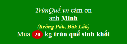Trùn quế huyện Krông Păk, Đăk Lăk
