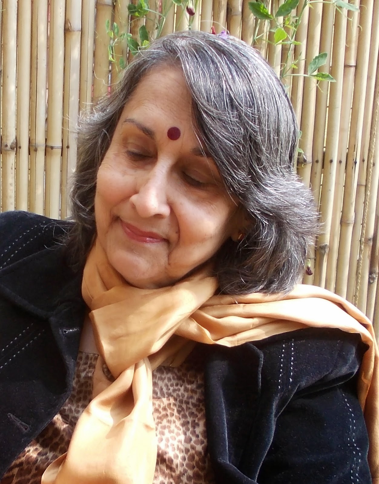 Veena instrument sound image