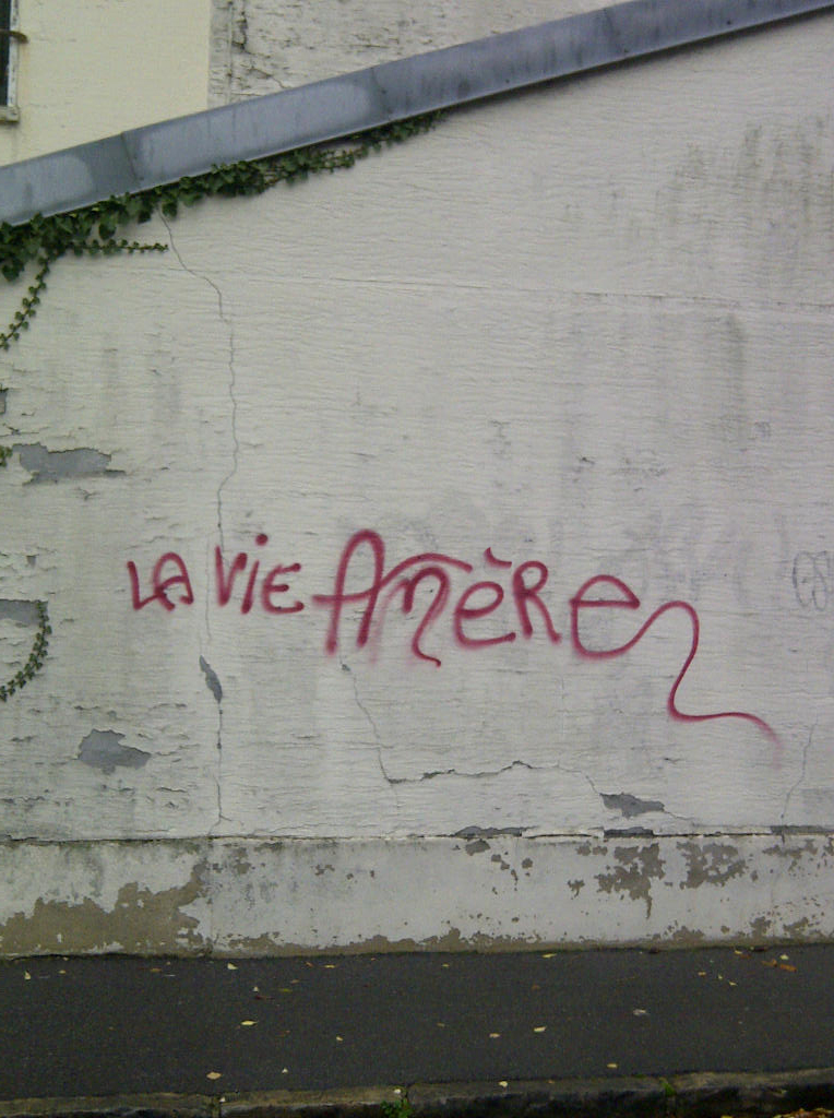 Chat ni evre