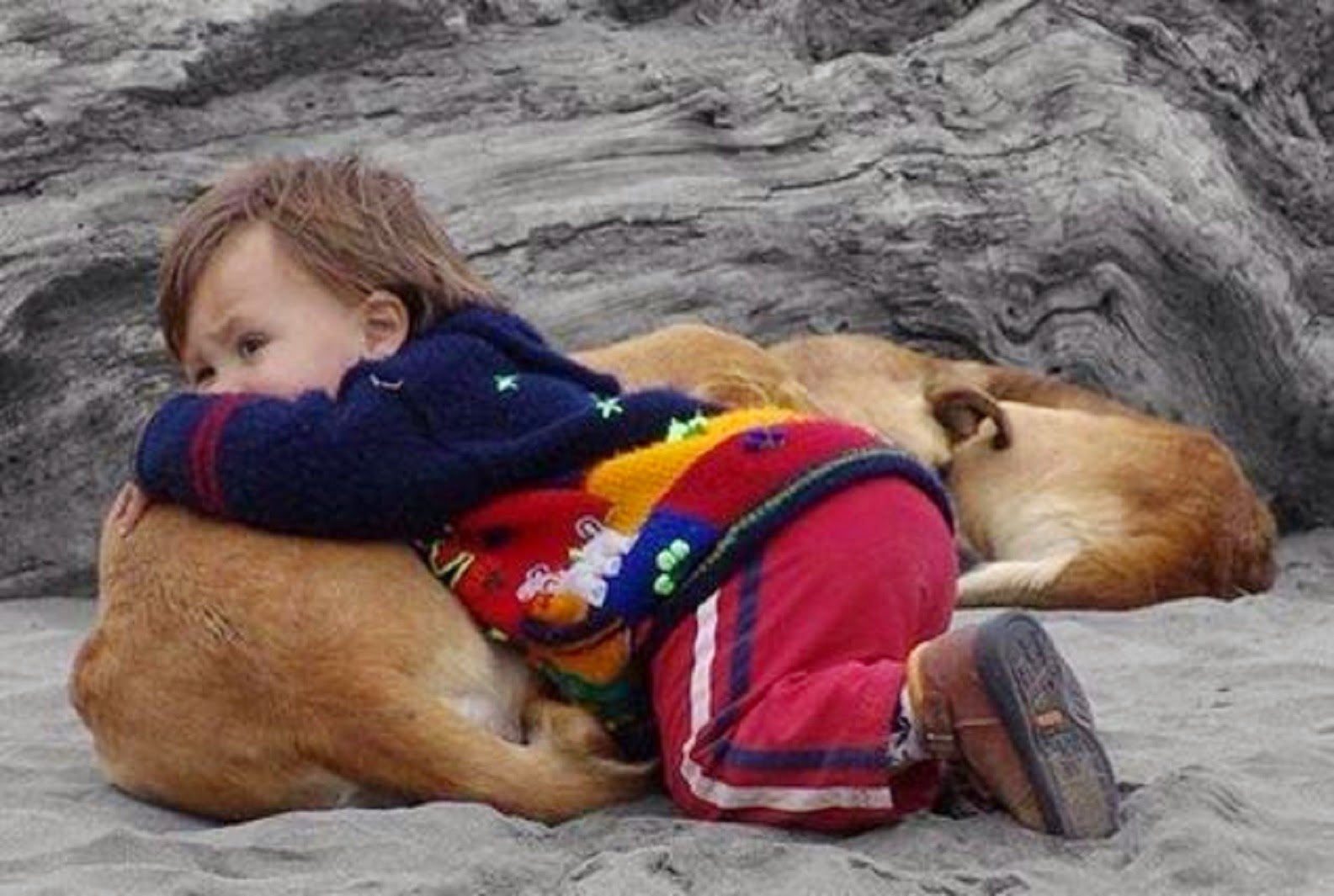 доброта картинки. фотосессия с кроликом. девочка с собакой силуэт. животное в каждом человеке. цитаты про животных.