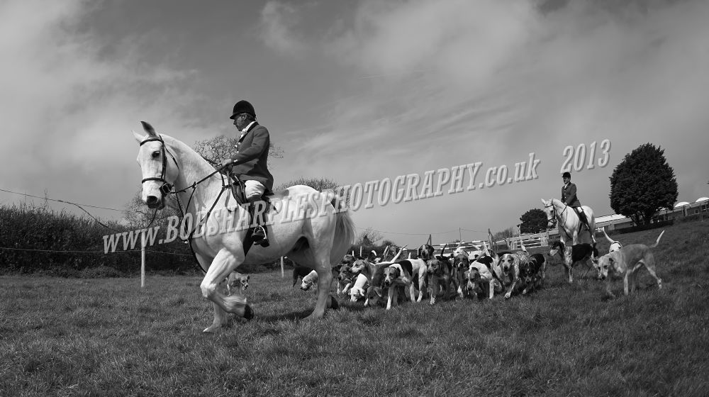 Cornwall Image Works Helston Annual Flora Horse Show 2013