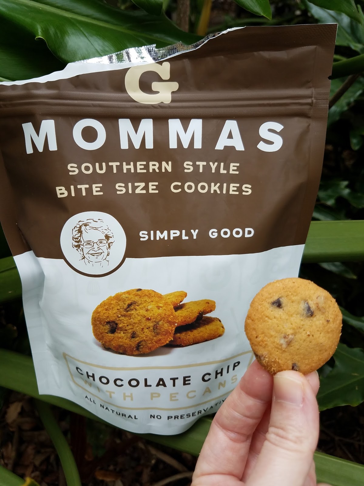 The ABCD Diaries G Mommas Cookies A True Taste of the South! spon
