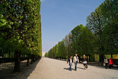 Schloss Schönbrunn Palatul Schonbrunn Schönbrunn Pallace