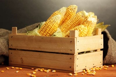 Daftar Sayuran untuk Penderita Asam Urat Tinggi - Info ...