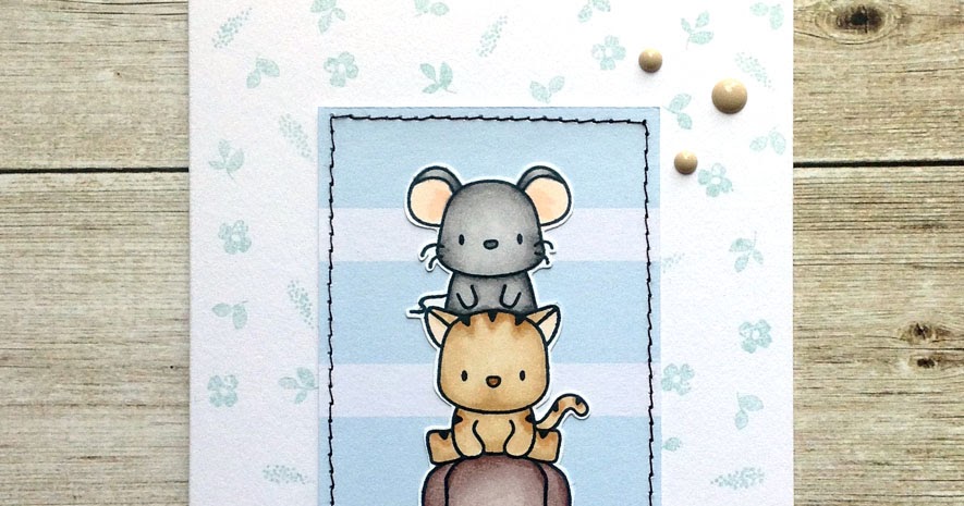 MIMI ZITRONE Hund, Katze, Maus!