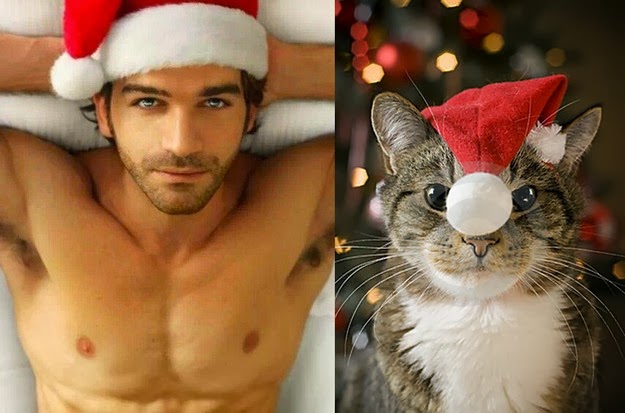 cute kittens and handsome men6